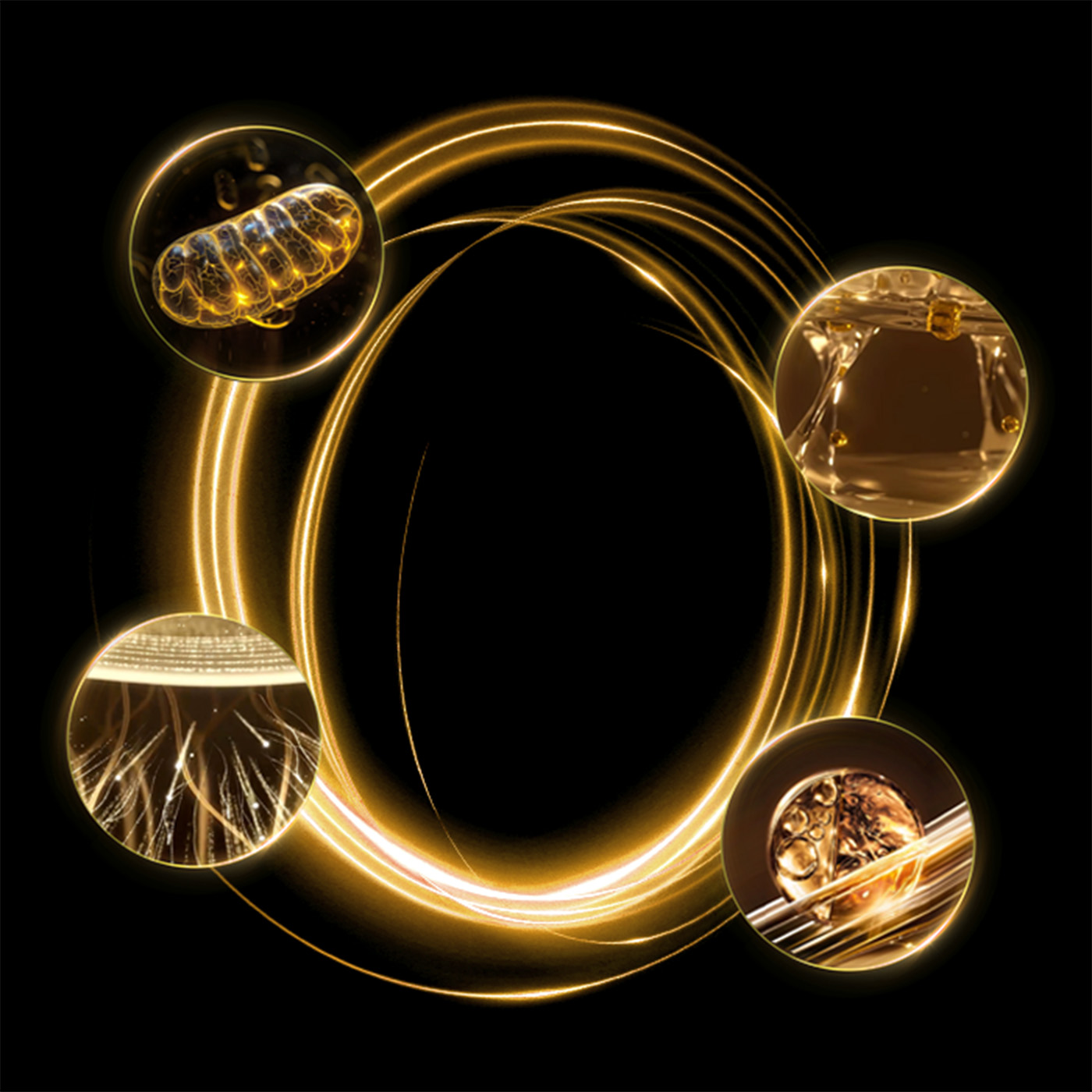 诸多皮肤问题源自皮肤细胞代谢失衡